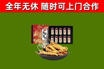 西夏回收冬虫夏草价格
